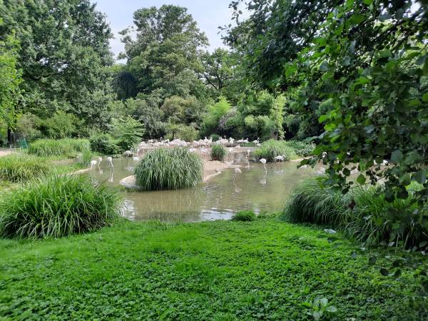 Florian’s Reise – Mosaik – Basel – Auf Flüstertour in der Stadt der Medizin