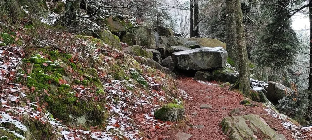 Donon Vosges Francia 2024 – Wandern auf dem Berg der gefrorenen Winde