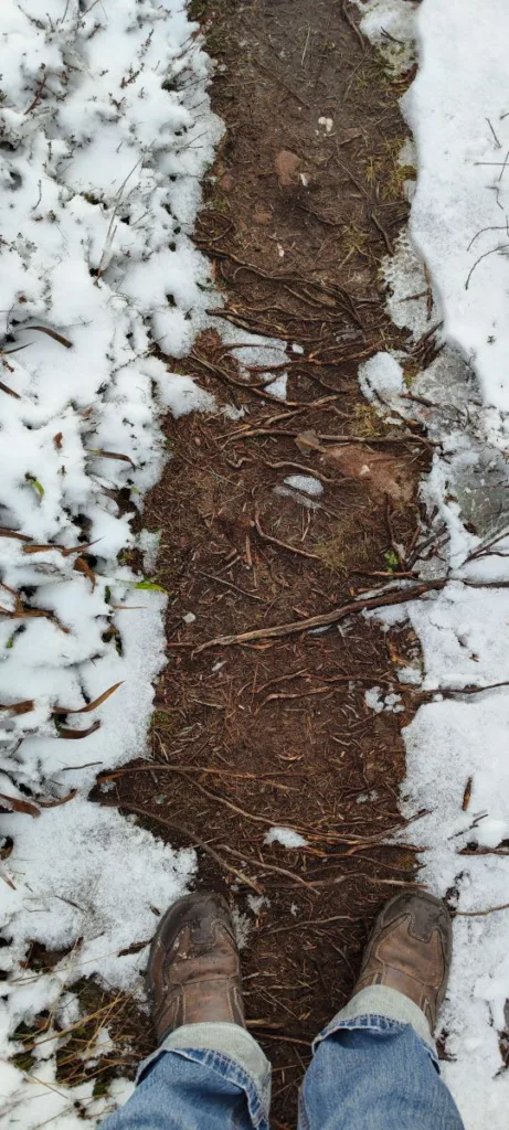 Donon Vogesen 2024– Wandern auf dem Berg der gefrorenen Winde