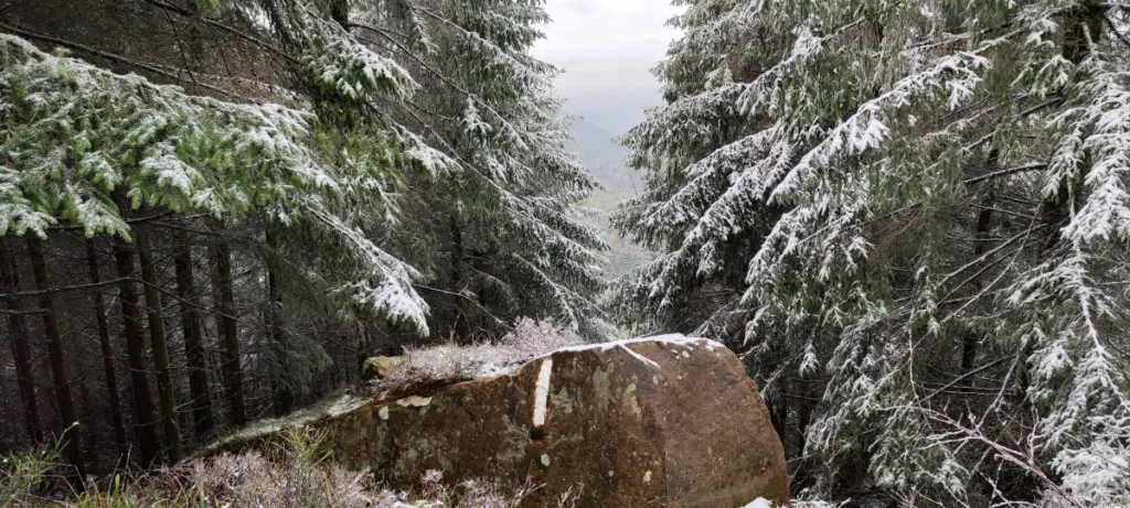 Donon Vogesen 2024– Wandern auf dem Berg der gefrorenen Winde