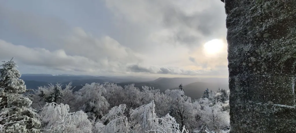 Donon Vogesen 2024–Wandern auf dem Berg der gefrorenen Winde22 1