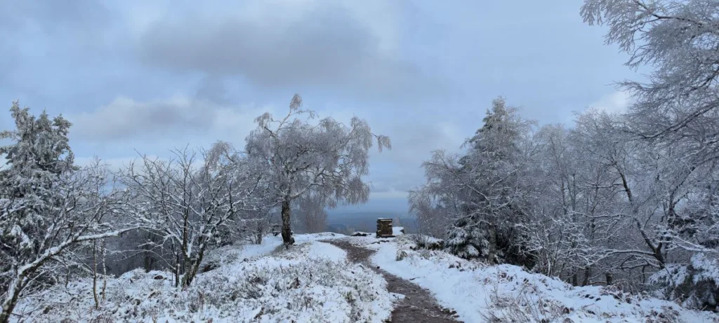 Donon Vogesen 2024– Wandern auf dem Berg der gefrorenen Winde